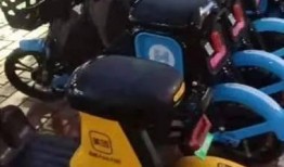 共享自行车爆料案例最新,揭秘行业乱象与用户权益挑战